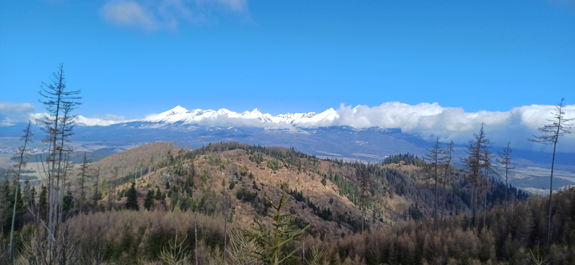 Výhďady na Vysoké Tatry